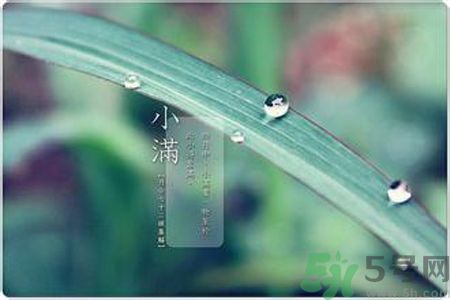 小滿容易得什么皮膚??？小滿得了皮膚病怎么辦？