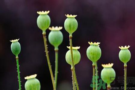 小滿做什么運動好？小滿運動要注意什么？