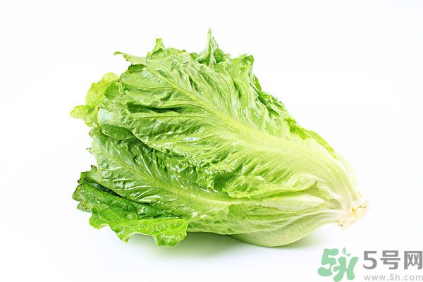 生菜在冰箱放久了能吃嗎？如何分辨生菜新不新鮮？