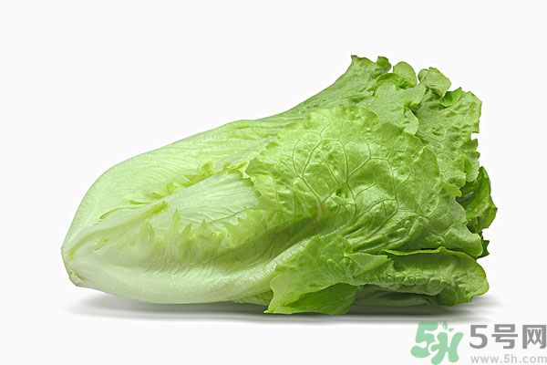 生菜在冰箱放久了能吃嗎？如何分辨生菜新不新鮮？