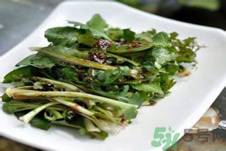 苦菜是酸性還是堿性？苦菜是堿性的嗎？