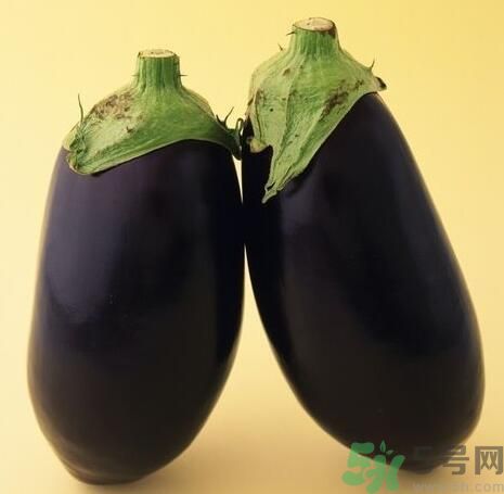 青皮茄子和紫皮茄子有什么區(qū)別？青皮茄子好還是紫皮茄子好？