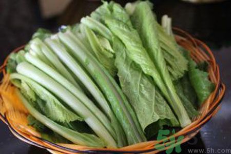 寶寶吃苦菜會(huì)拉肚子嗎？寶寶吃苦菜拉肚子了怎么辦？