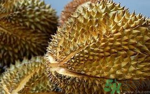 榴蓮裂開了就是熟了嗎?榴蓮裂開才能吃嗎? 榴蓮裂開了就是熟了嗎?榴蓮裂開才能吃嗎?