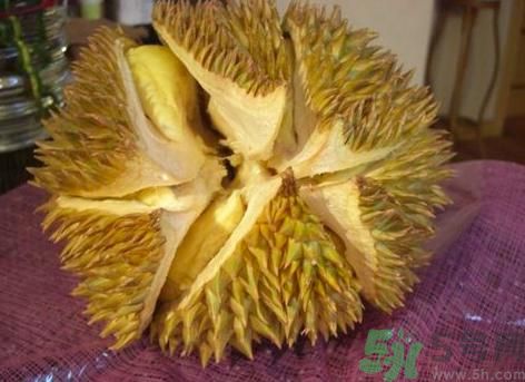 榴蓮裂開好還是不裂好?榴蓮裂開的好嗎? 榴蓮裂開好還是不裂好?榴蓮裂開的好嗎?