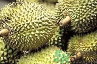 榴蓮裂開好還是不裂好?榴蓮裂開的好嗎? 榴蓮裂開好還是不裂好?榴蓮裂開的好嗎?