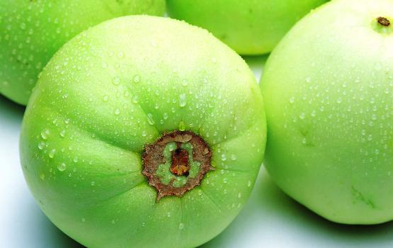 甜瓜可以放幾天？甜瓜可以保存幾天才會(huì)壞？