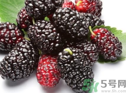 櫻桃可以和桑葚一起吃嗎?櫻桃能和桑葚同吃嗎? 櫻桃可以和桑葚一起吃嗎?櫻桃能和桑葚同吃嗎?