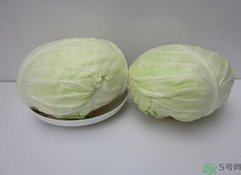 包菜榨汁要加水嗎？包菜汁怎么做？