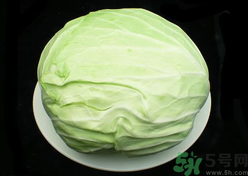 包菜榨汁要加水嗎？包菜汁怎么做？
