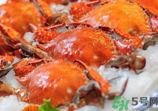 櫻桃可以和海鮮一起吃嗎?櫻桃能和海鮮同吃嗎? 櫻桃可以和海鮮一起吃嗎?櫻桃能和海鮮同吃嗎?