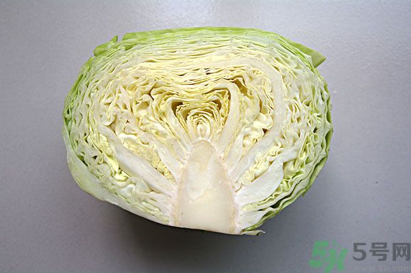 包菜能和魚一起吃嗎？魚可以和包菜一起吃嗎？