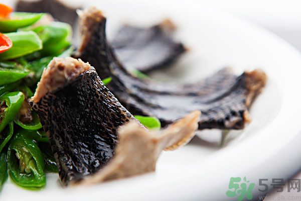 蛇肉有什么功效？蛇肉的功效是什么？