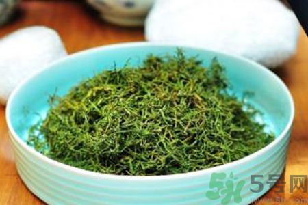 苦菜茶可以和綠茶一起喝嗎？苦菜茶可以和其他茶一起喝嗎？