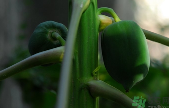 1463988687206516.png snap00212.png