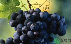 葡萄可以和西瓜一起吃嗎?葡萄能和西瓜同吃嗎? 葡萄可以和西瓜一起吃嗎?葡萄能和西瓜同吃嗎?