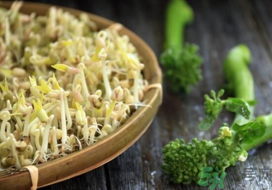 怎樣自己發(fā)綠豆芽？綠豆芽怎樣自己發(fā)？