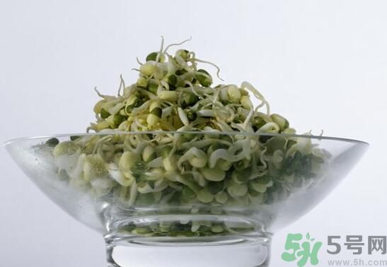 怎樣自己發(fā)綠豆芽？綠豆芽怎樣自己發(fā)？
