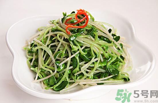 怎樣自己發(fā)綠豆芽？綠豆芽怎樣自己發(fā)？