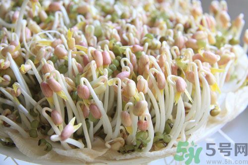 紅豆可以發(fā)豆芽嗎？紅豆芽可以吃嗎？