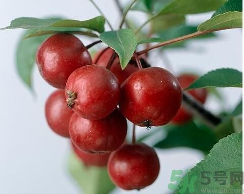 山楂可以生吃嗎？生吃山楂好嗎？