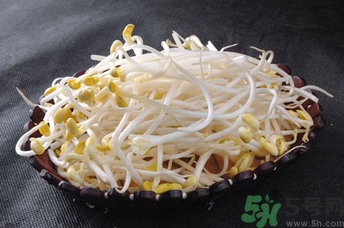 黃豆發(fā)芽了還能吃嗎?發(fā)芽的黃豆怎么處理 黃豆發(fā)芽了還能吃嗎?發(fā)芽的黃豆怎么處理