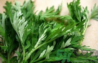 艾葉泡腳可以天天泡嗎?艾葉泡腳能天天泡嗎? 艾葉泡腳可以天天泡嗎?艾葉泡腳能天天泡嗎?