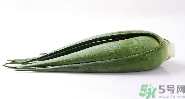 孕婦可以吃蘆薈嗎？孕婦吃蘆薈會(huì)怎樣？