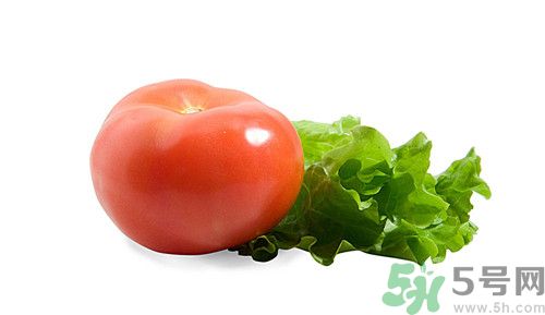 吃生菜可以減肥嗎?生菜減肥法怎么吃 吃生菜可以減肥嗎?生菜減肥法怎么吃