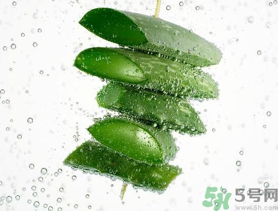 男性可以吃蘆薈嗎？男性吃蘆薈好不好？