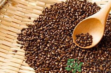 決明子是涼性的嗎？決明子是涼性還是熱性？