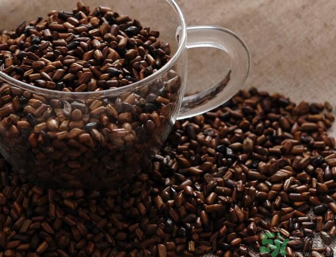 決明子泡茶喝可以減肥嗎？決明子泡茶喝有減肥效果嗎？