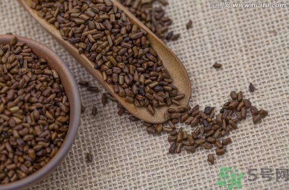 決明子泡茶喝可以減肥嗎？決明子泡茶喝有減肥效果嗎？