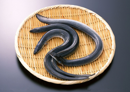 1464316093934935.jpg 9885883_120513183000_2_副本.jpg