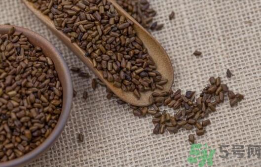 決明子泡茶加什么好？決明子和什么一起泡好？