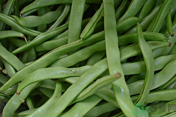 四季豆沒炒熟有毒嗎？四季豆沒熟吃了會怎樣？