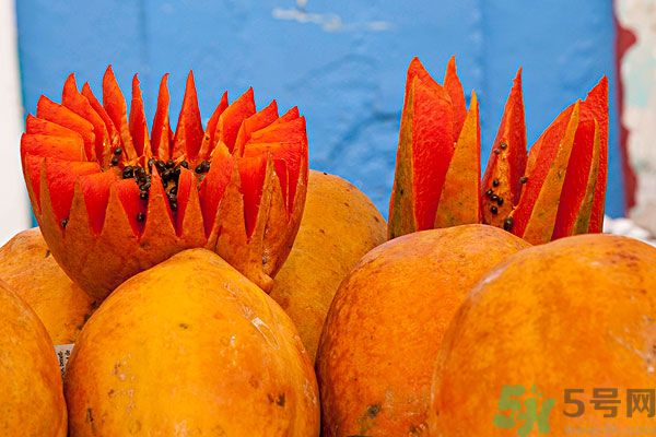 木瓜是水果還是蔬菜？青木瓜是水果嗎？