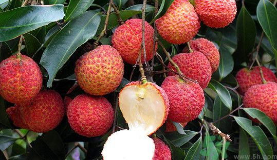 1464832297782542.jpg 3.jpg