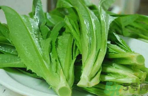 孕婦能吃萵筍葉嗎?孕婦吃萵筍葉好嗎 孕婦能吃萵筍葉嗎?孕婦吃萵筍葉好嗎