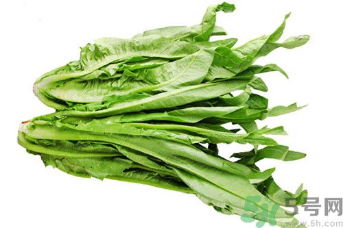 孕婦能吃萵筍葉嗎?孕婦吃萵筍葉好嗎 孕婦能吃萵筍葉嗎?孕婦吃萵筍葉好嗎