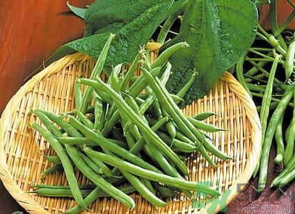 四季豆可以和胡蘿卜一起吃嗎？四季豆和胡蘿卜一起吃好嗎？