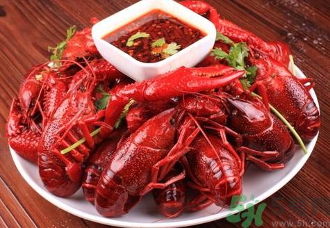 龍蝦可以和榴蓮一起吃嗎?龍蝦能和榴蓮?fù)詥? 龍蝦可以和榴蓮一起吃嗎?龍蝦能和榴蓮?fù)詥?