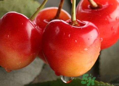 龍蝦可以和櫻桃一起吃嗎?龍蝦能和櫻桃同吃嗎? 龍蝦可以和櫻桃一起吃嗎?龍蝦能和櫻桃同吃嗎?