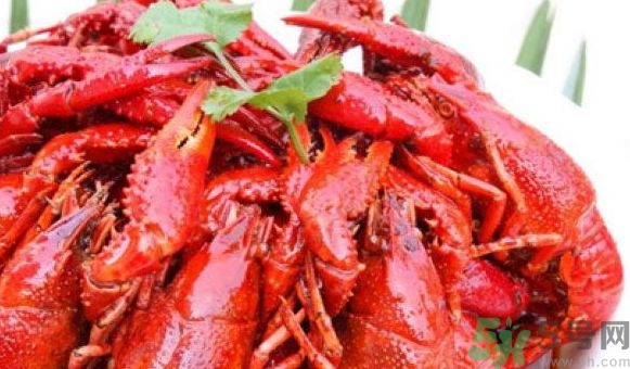 吃龍蝦可以喝啤酒嗎?龍蝦能和啤酒一起吃嗎? 吃龍蝦可以喝啤酒嗎?龍蝦能和啤酒一起吃嗎?