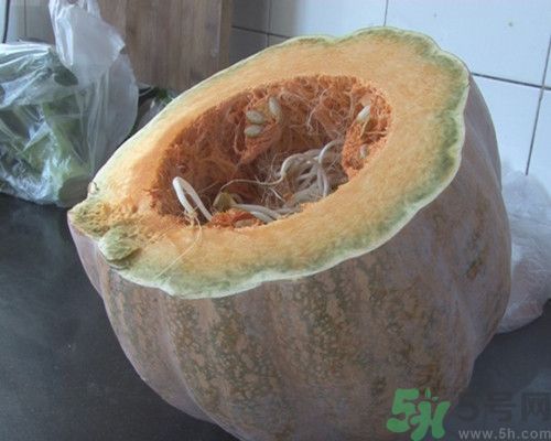 南瓜發(fā)芽了可以吃嗎?發(fā)芽的南瓜吃了會(huì)怎么樣 南瓜發(fā)芽了可以吃嗎?發(fā)芽的南瓜吃了會(huì)怎么樣