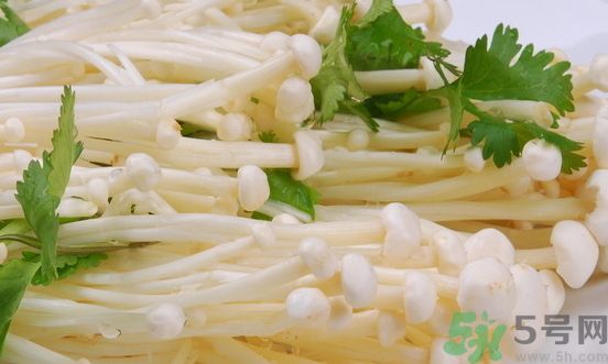 金針菇是發(fā)物嗎?金針菇是不是發(fā)物? 金針菇是發(fā)物嗎?金針菇是不是發(fā)物?