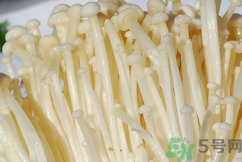 金針菇是發(fā)物嗎?金針菇是不是發(fā)物? 金針菇是發(fā)物嗎?金針菇是不是發(fā)物?