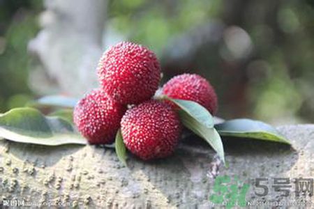 吃楊梅可以防止中暑嗎？中暑可以吃楊梅嗎？