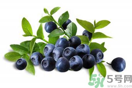 藍(lán)莓是熱性還是涼性？藍(lán)莓是涼性嗎？