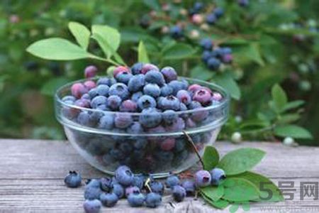 藍(lán)莓是熱性還是涼性？藍(lán)莓是涼性嗎？